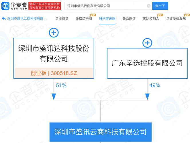 盛讯达-盛讯云商科技有限公司