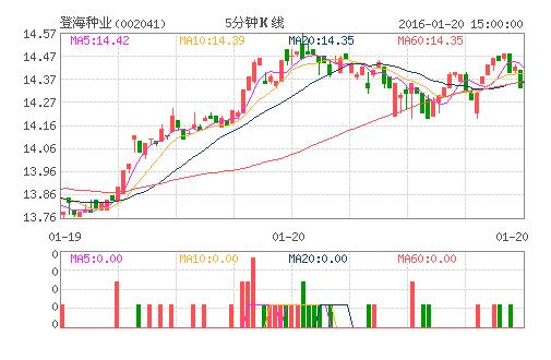 002041股票-002041股票行情