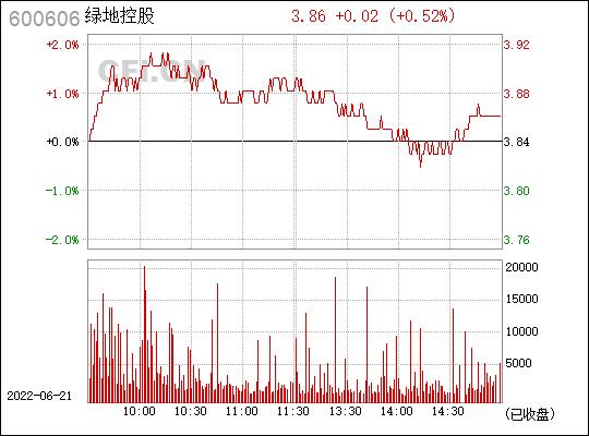 600606-600606绿地控股股吧