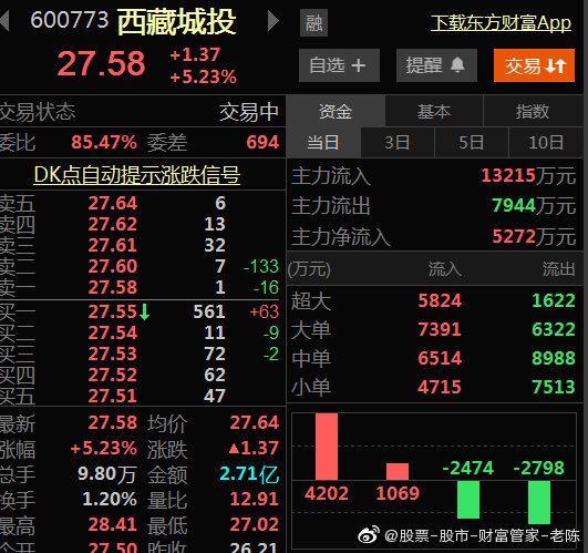 股票600773-股票600773西藏城投