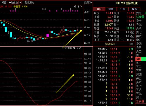 600793股票-600793股票行情