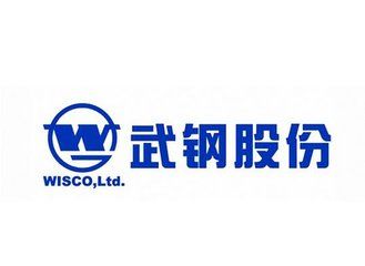 武钢股份600005-武钢股份为什么退巿