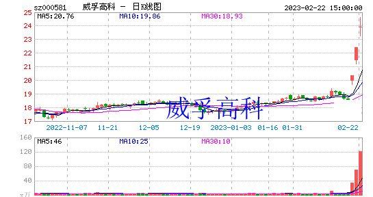 000581-000581 威孚高科股吧