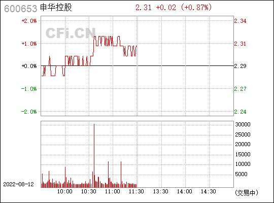 600653申华控股-600653申华控股 股吧