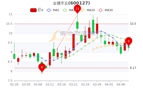 金健米业股票-