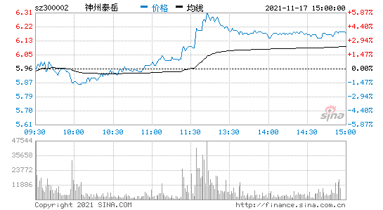 神州泰岳股票-神州泰岳股票股吧