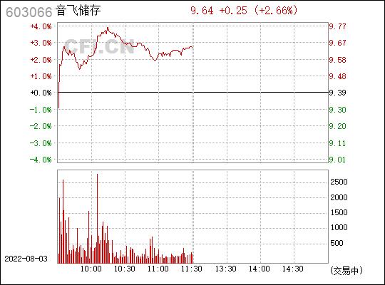 音飞储存-音飞储存(603066)股吧