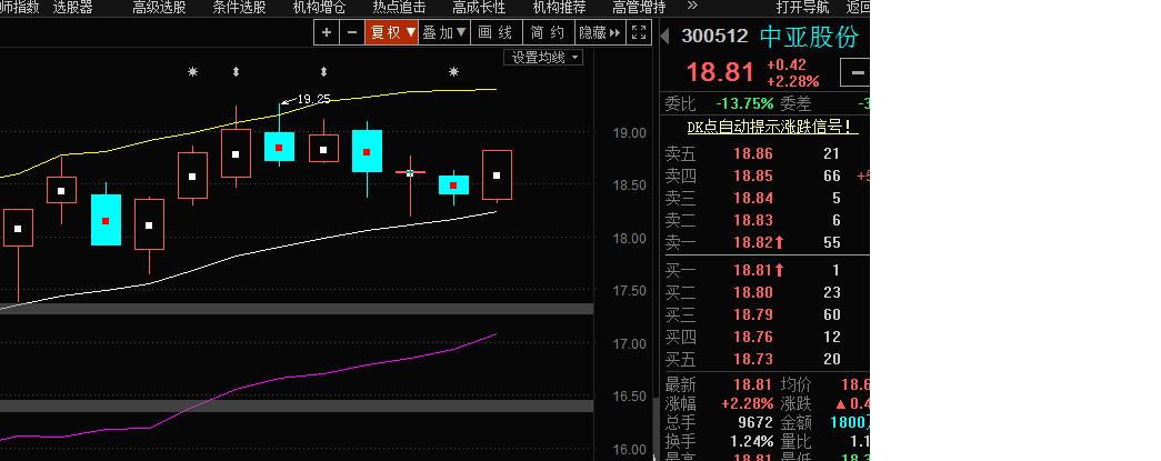 300512-300512中亚股份股吧