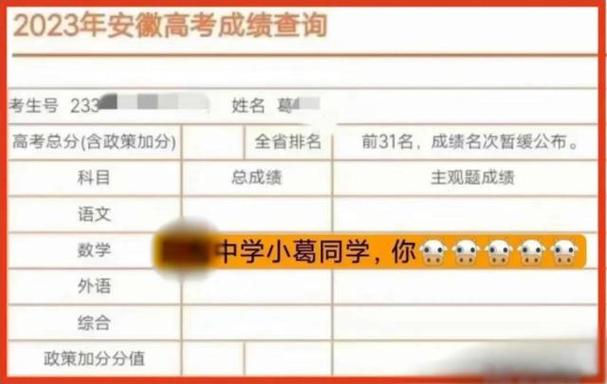 男孩查分显示全省前31名-男孩查分显示全省前31名一一