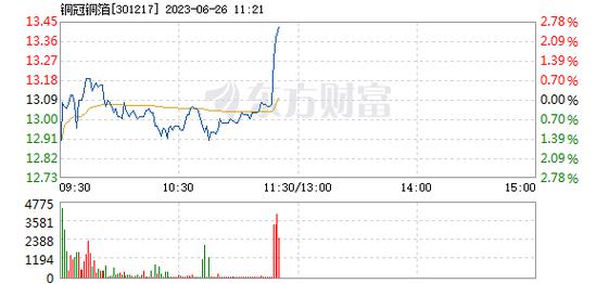 301217-301217发行价多少