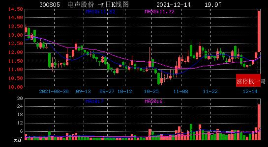 300805-300805电声股份股票