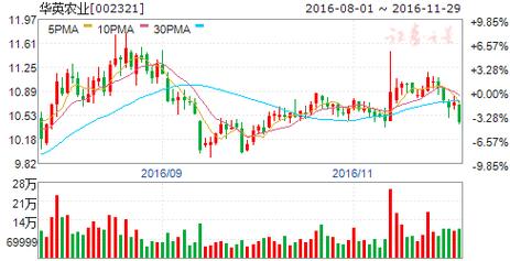 华英农业-华英农业股票