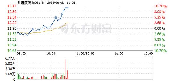 共进股份-共进股份股吧