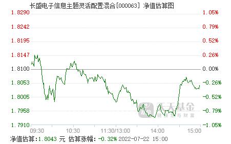 长盛电子信息主题-长盛电子信息主题基金000063