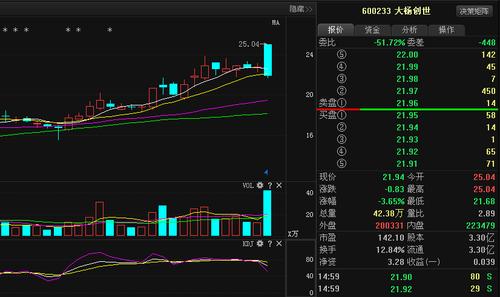 大杨创世股票-大杨创世股票代码600233